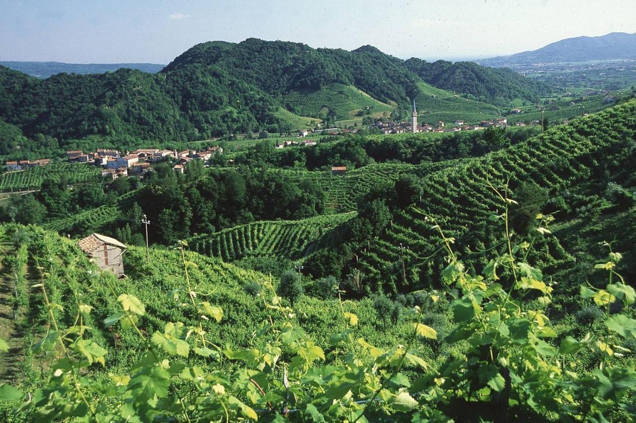Casa Angela Stayerat A Segusino Valdobbiadene Sequsino Экстерьер фото