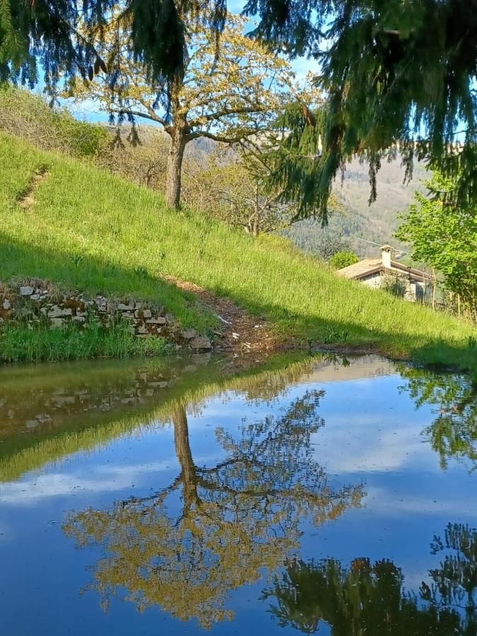 Casa Angela Stayerat A Segusino Valdobbiadene Sequsino Экстерьер фото